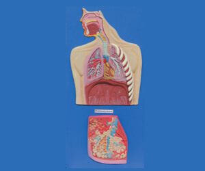 BioLab Products